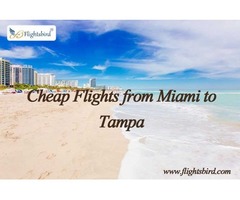 Get MIA to TPA Flights Tickets at Cheapest Price | free-classifieds-usa.com - 1