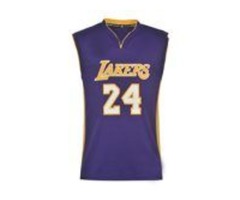 Alanic Clothing Is A Popular Supplier Of Basketball Apparel Worth The Bulk Investment | free-classifieds-usa.com - 3