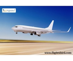 JFK to Orlando Flights Starting from $165 at Flightsbird | free-classifieds-usa.com - 1