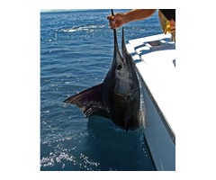 Key Biscayne Deep Sea Fishing | free-classifieds-usa.com - 1