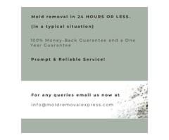 Home Mold Removal Service | free-classifieds-usa.com - 1