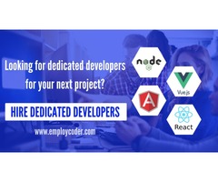 Looking to Hire Dedicated Developers for your Project? Contact Us! | free-classifieds-usa.com - 1