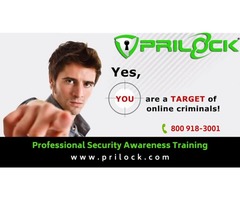 Professional Security Awareness Training - Prilock | free-classifieds-usa.com - 1
