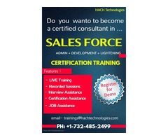 Salesforce Online training | free-classifieds-usa.com - 1