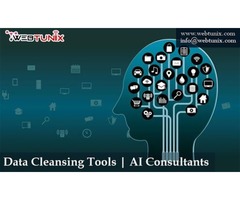 Data cleansing tools | AI consultants | free-classifieds-usa.com - 1