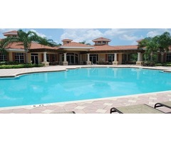 Swimming Pools Construction Company in Fort Myers | Contemporary Pools | free-classifieds-usa.com - 1