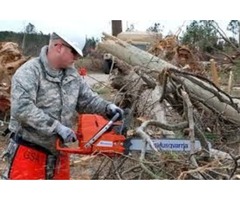 South Bend Tree removal | free-classifieds-usa.com - 2