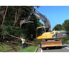 South Bend Tree removal | free-classifieds-usa.com - 4