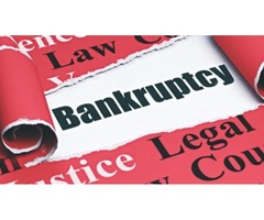 Hire A Bankruptcy Lawyer For Better Legal Assistance | free-classifieds-usa.com - 1