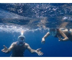 Private Dolphin tours Oahu | free-classifieds-usa.com - 1