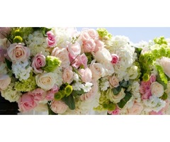 Wholesale Flowers for Weddings | free-classifieds-usa.com - 3