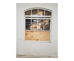 best affordable Broken window repair Florida | free-classifieds-usa.com - 3