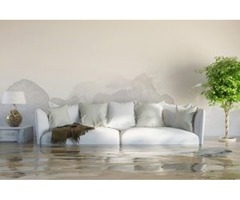 Water Damage Restoration Raleigh | free-classifieds-usa.com - 1