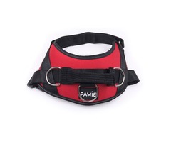 Looking for Dog Owners to Review Dog Harness Product (PAID REVIEW) | free-classifieds-usa.com - 3