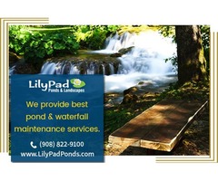 Ponds And Waterfalls Plainfield NJ | free-classifieds-usa.com - 1