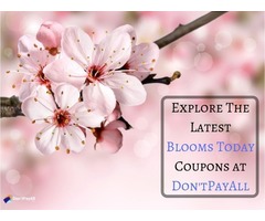 Blooms Today coupon: For reasonable flowers and gifts | free-classifieds-usa.com - 1
