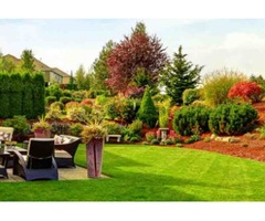 Omar's Oc Lawn Service and Landscaping | free-classifieds-usa.com - 1