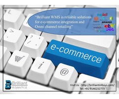 Providing Best Warehouse Management System Software. | free-classifieds-usa.com - 1