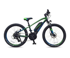 Purchase Fastest Electric Bicycle | free-classifieds-usa.com - 3