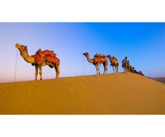 Best Deals on Rajasthan Tour Packages  | free-classifieds-usa.com - 3