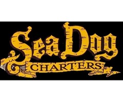 Sea Dog Fishing Charters Marathon Marina | free-classifieds-usa.com - 1