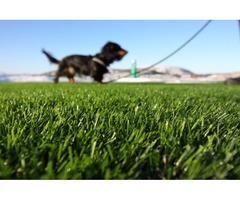 Artificial Outdoor Putting Greens Grass for Dogs | free-classifieds-usa.com - 4