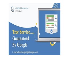 Do You Know Why They Outrank You In Google? | free-classifieds-usa.com - 1