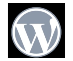 Choose Top WordPress  Development Company in San Francisco, CA | free-classifieds-usa.com - 1