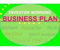 Get An Investor-Ready Business Plan in 7 days | free-classifieds-usa.com - 1