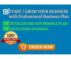 Get An Investor-Ready Business Plan in 7 days | free-classifieds-usa.com - 2