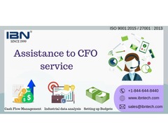 Assistance to CFO Services in USA | IBN Technologies | free-classifieds-usa.com - 1