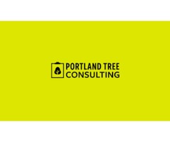 Tree hazard report | free-classifieds-usa.com - 1