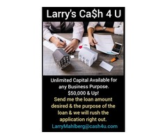 Larry's Cash 4 U | free-classifieds-usa.com - 1