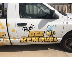 Honey Bee Rescuer in Carmel Valley CA | free-classifieds-usa.com - 2