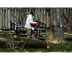 Affordable Family Man Tree Service | free-classifieds-usa.com - 1
