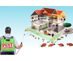 Safe and Effective Mosquito Control | free-classifieds-usa.com - 1