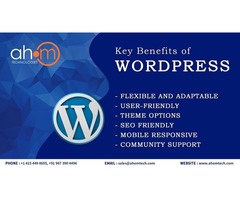 Top WordPress custom theme development services by best WordPress Theme Development company | free-classifieds-usa.com - 2