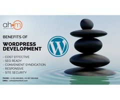 Top WordPress custom theme development services by best WordPress Theme Development company | free-classifieds-usa.com - 3