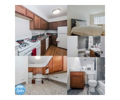 2 Bedroom 1 Bathroom Apartment for Rent - Spoter | free-classifieds-usa.com - 2