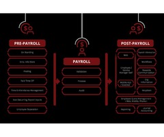 Payroll Management System | free-classifieds-usa.com - 1