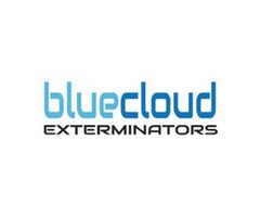 Termite Exterminating | free-classifieds-usa.com - 1