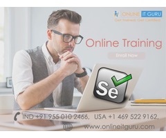 selenium certification | selenium certification online | free-classifieds-usa.com - 1
