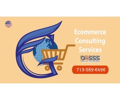 Ecommerce Consulting | free-classifieds-usa.com - 1