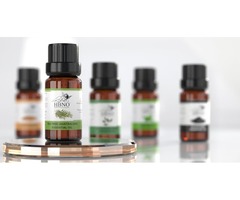   Shop Now! 100% Organic Tea Tree Essential Oil In Bulk | free-classifieds-usa.com - 1
