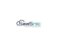 Salesforce Consultant & Developer Company USA-Saasnic | free-classifieds-usa.com - 1
