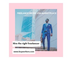 Freelance software developer jobs | free-classifieds-usa.com - 1