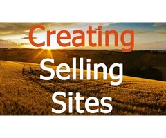 Website development and SEO promotion - Alex Panin | free-classifieds-usa.com - 1