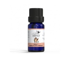 Shop Now! HBNO™ Angel Fungal Shield in Bulk from Essential Natural Oils | free-classifieds-usa.com - 1