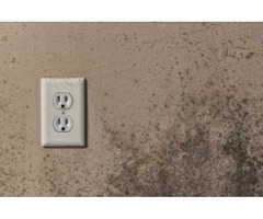 Mold damage | free-classifieds-usa.com - 1