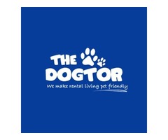 Anxiety Support Dog | free-classifieds-usa.com - 1
